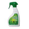 Multipurpose Insecticide KING picture