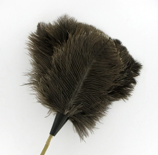 real ostrich feather duster